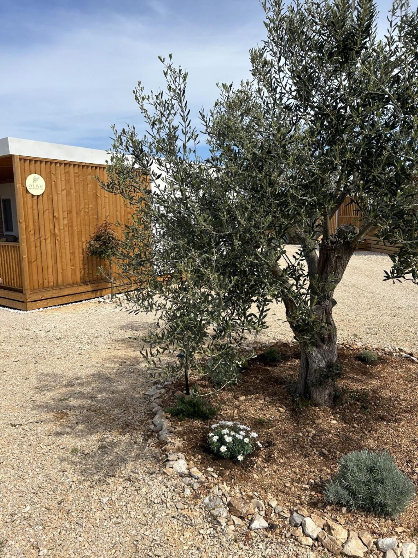 O'Live Premium Mobile Home دراغ المظهر الخارجي الصورة